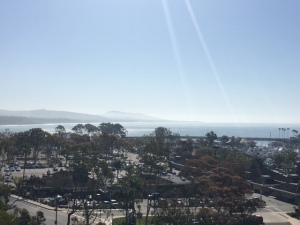 Dana Harbor view
